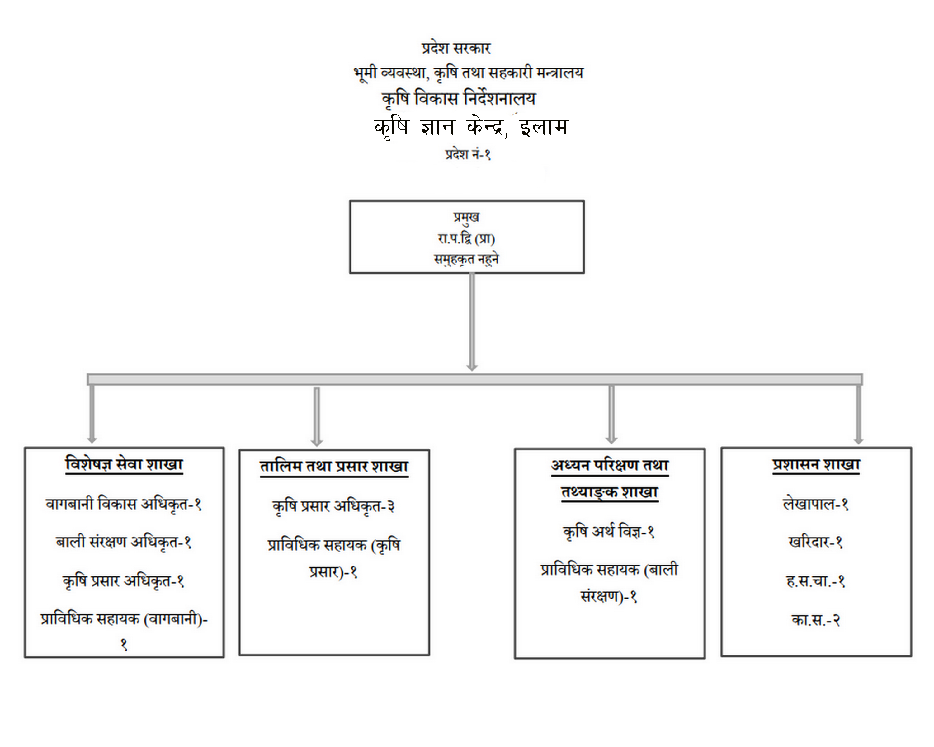 Organization Structure